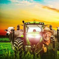 Zasoby operacyjne i inwestycje biznesowe